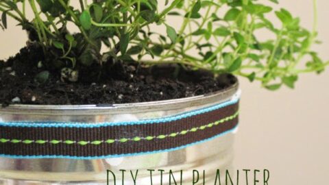Repurposed Tin Can Planters DIY