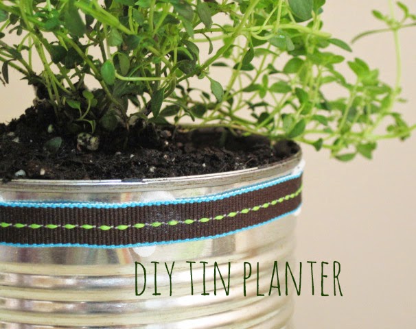 Repurposed Tin Can Planters DIY