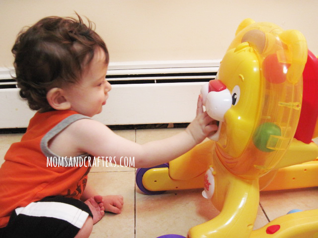 step n ride lion