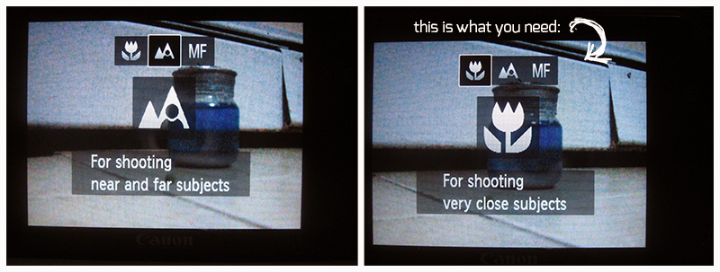 How to take better blog photos using a regular point and shoot camera - 8 essential tips for the novice!