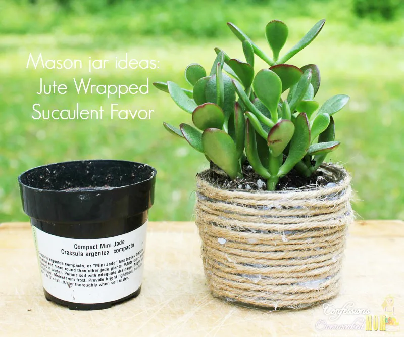 mason-jar-craft-ideas-jute-wrapped-succulent-favor