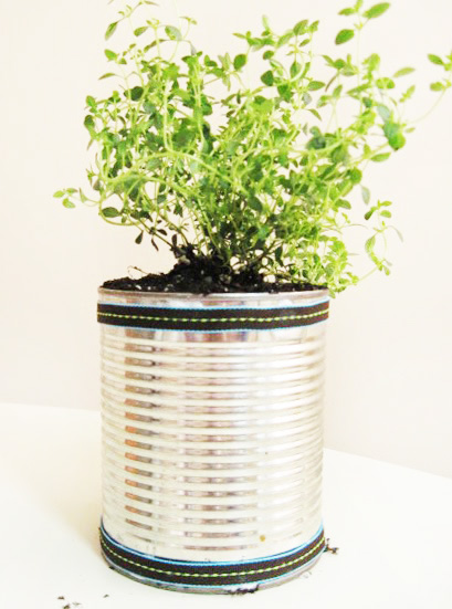 tin can planter