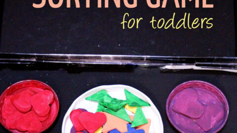 DIY Travel Sorting Game for Toddlers