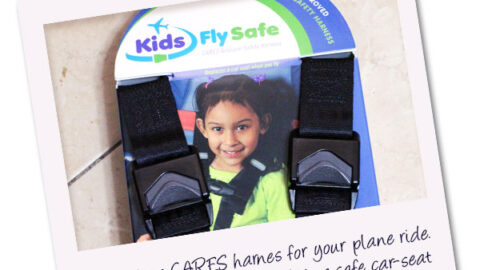 CARES Airplane Safety Harness Review