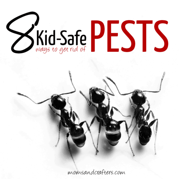 8 Kid Safe Pest Control Solutions * Moms and Crafters