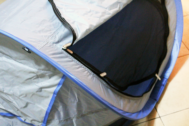 KidCo PeaPod Plus Review