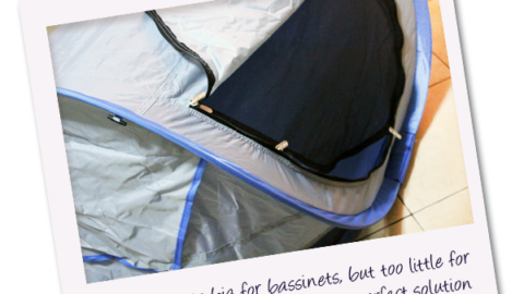 KidCo PeaPod Plus Review