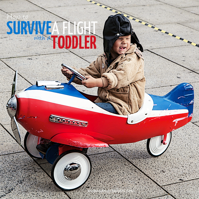 Check out these 9 tips on how to survive a flight with a toddler! They are super practical, a little humorous, and will really help you out!