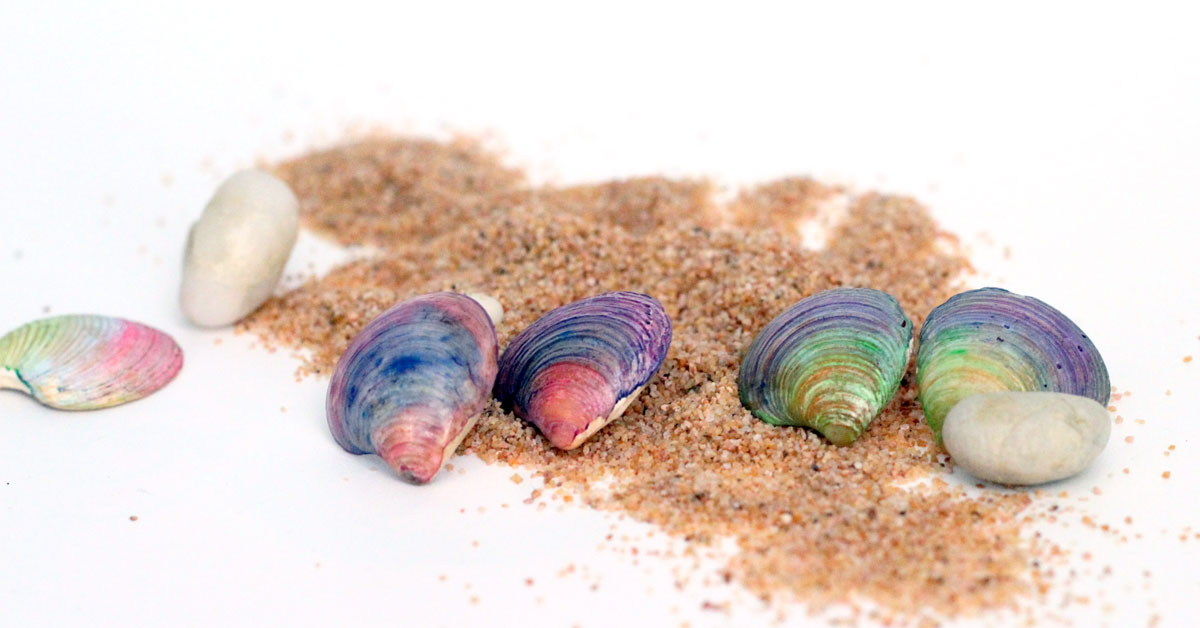 DIY Seashell Earrings