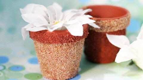 Textured DIY Flower Pots