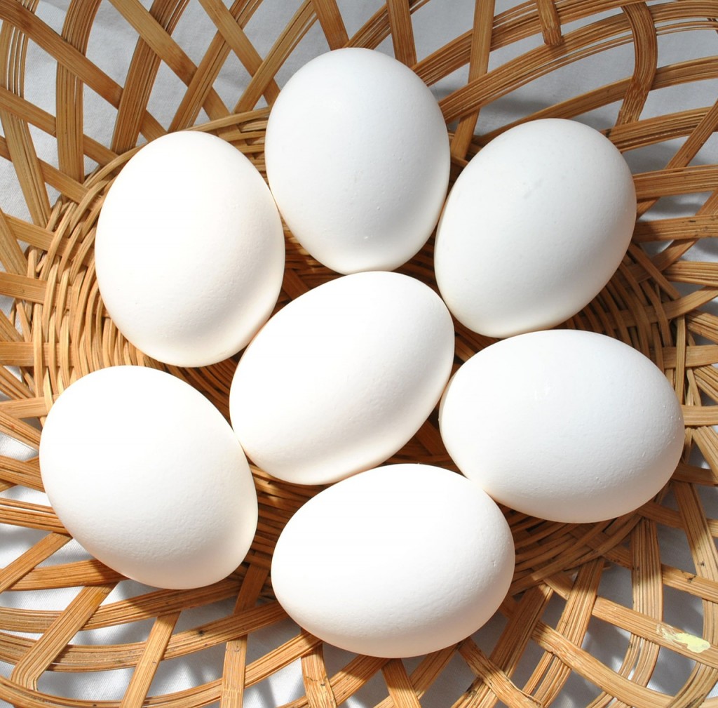 eggs-570540_1280