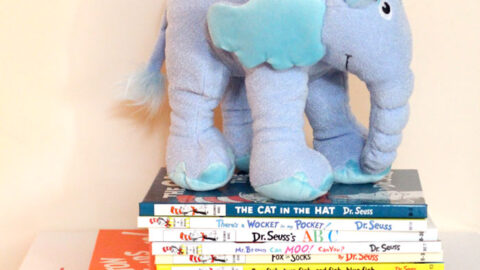 Incredibundles Review