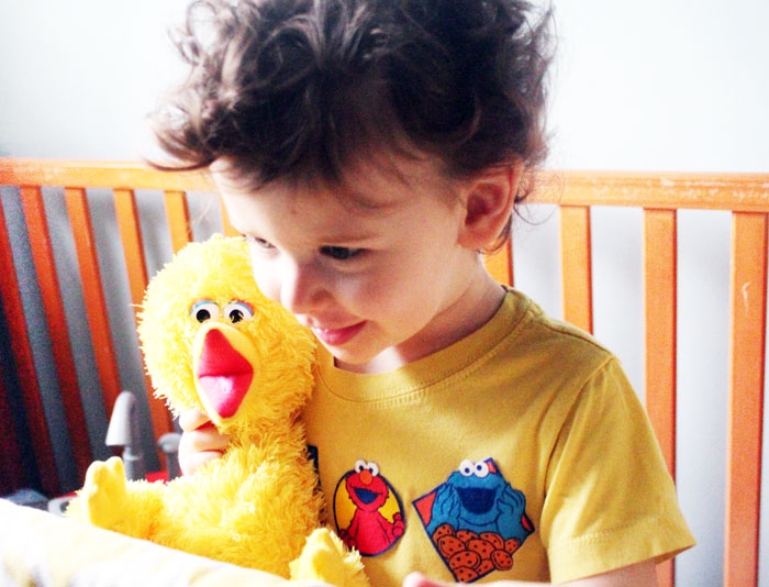 IT's ridiculously easy to embellish a drab plain shirt with your child's favorite characters! Click to find out how I made this adorable Sesame Street t-shirt. It's a perfect five minute mommy craft...