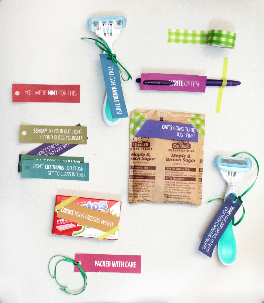 Oh, my these are so Punny! Print these humorous, pun-intended college care package labels for Schick disposable razors and other college care package essentials ideas | Free printable