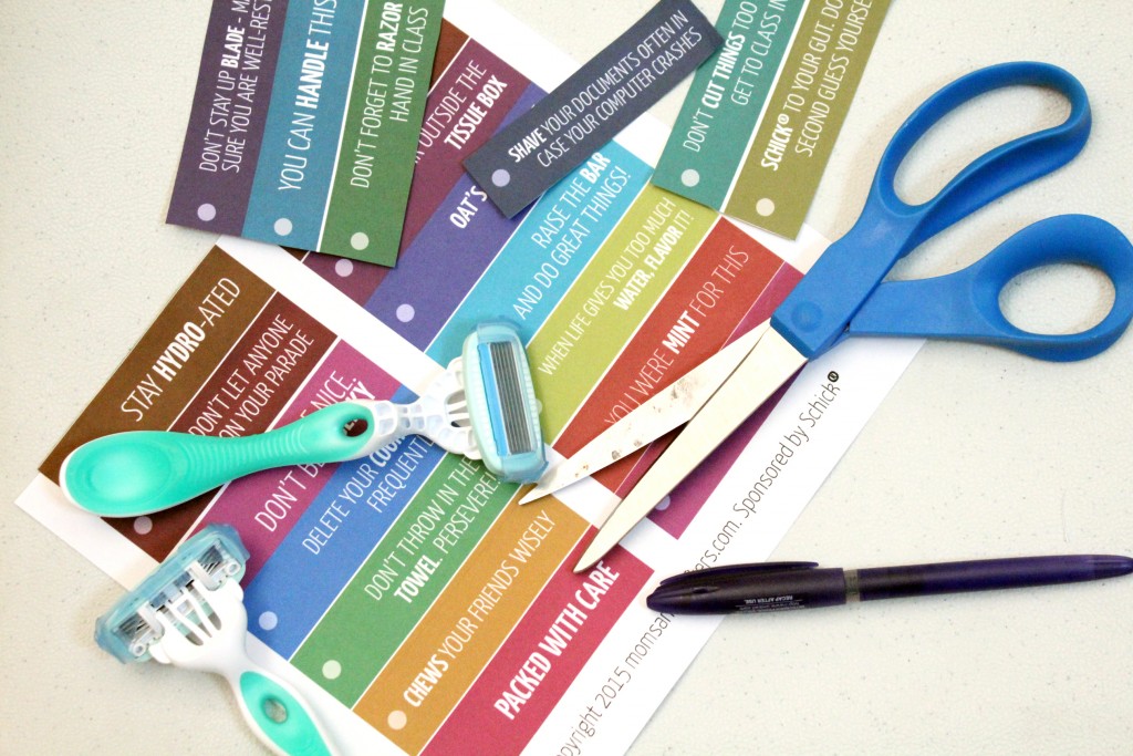 Oh, my these are so Punny! Print these humorous, pun-intended college care package labels for Schick disposable razors and other college care package essentials ideas | Free printable