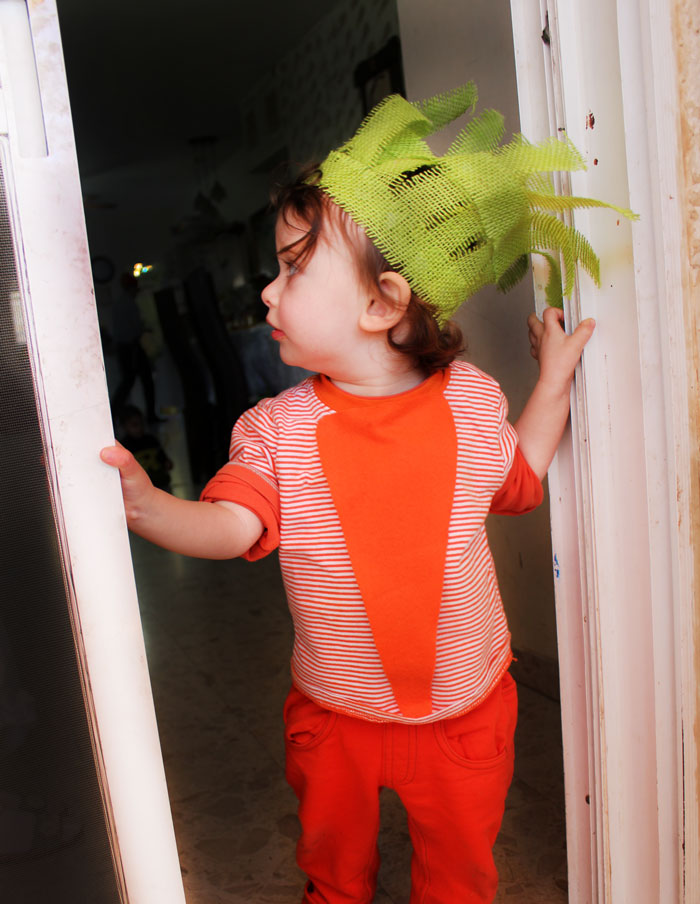 I love this Halloween costume for toddlers - such a great DIY idea! It's a no sew carrot costume that's really cheap and easy to put together too.