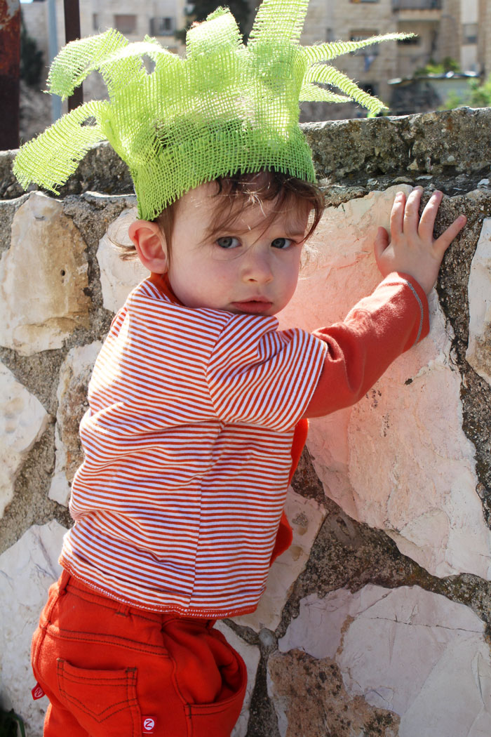 Infant shop carrot costume