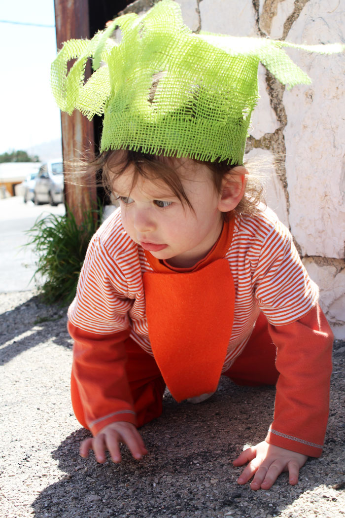 I love this Halloween costume for toddlers - such a great DIY idea! It's a no sew carrot costume that's really cheap and easy to put together too.