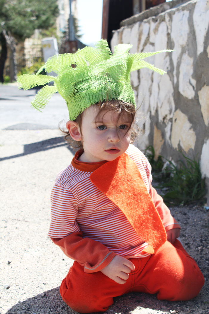 Carrot Costume Adults