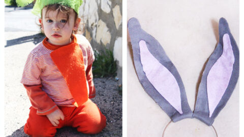 Looney Tunes Inspired Family Costume Idea