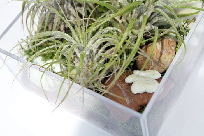 Make a beautiful and simple easy indoor fairy garden terrarium! You'll want to shrink and step right inside this perfect craft for teens, for autumn, winter, and cold weather.