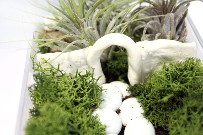 12 Easy Craft Ideas Using Moss  Easy crafts, Crafts, Diy craft