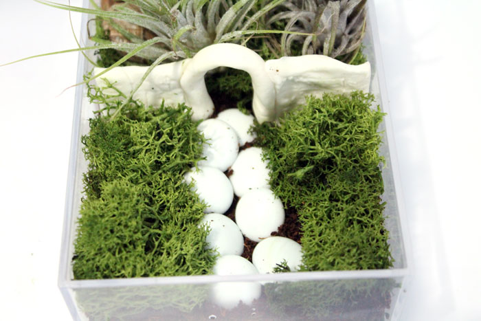 Make a beautiful and simple easy indoor fairy garden terrarium! You'll want to shrink and step right inside this perfect craft for teens, for autumn, winter, and cold weather.