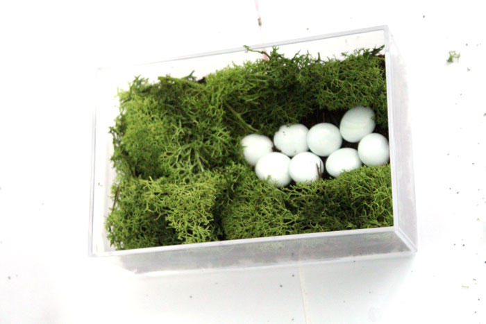 Make a beautiful and simple easy indoor fairy garden terrarium! You'll want to shrink and step right inside this perfect craft for teens, for autumn, winter, and cold weather.