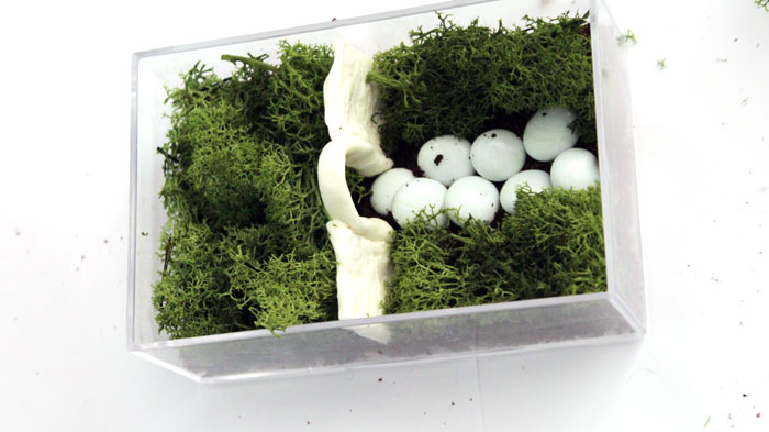 Make a beautiful and simple easy indoor fairy garden terrarium! You'll want to shrink and step right inside this perfect craft for teens, for autumn, winter, and cold weather.