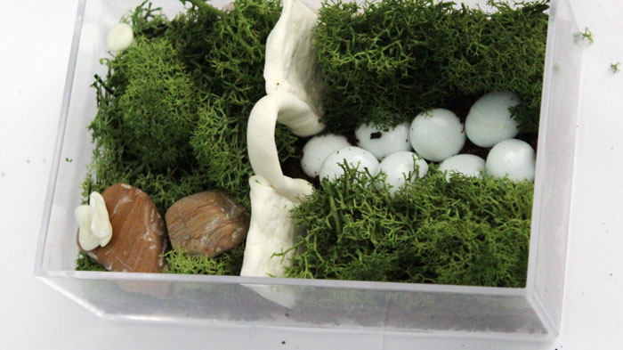 Make a beautiful and simple easy indoor fairy garden terrarium! You'll want to shrink and step right inside this perfect craft for teens, for autumn, winter, and cold weather.