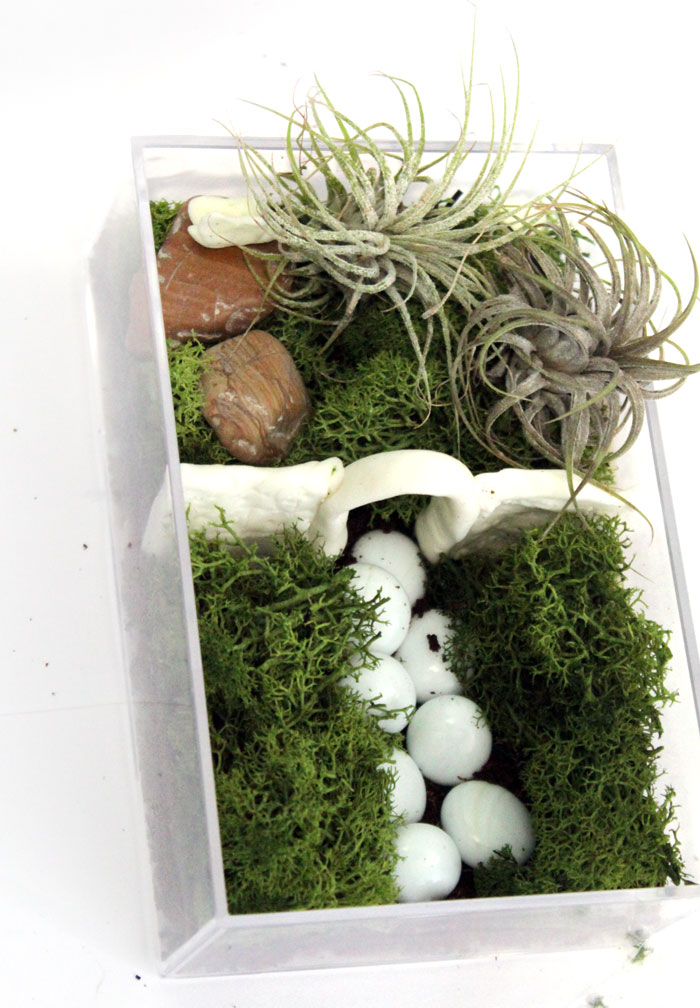 Make a beautiful and simple easy indoor fairy garden terrarium! You'll want to shrink and step right inside this perfect craft for teens, for autumn, winter, and cold weather.