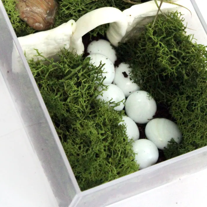 Make a beautiful and simple easy indoor fairy garden terrarium! You'll want to shrink and step right inside this perfect craft for teens, for autumn, winter, and cold weather.
