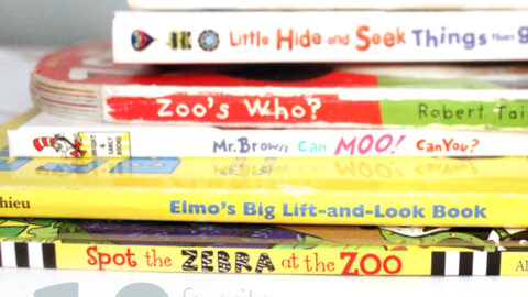 10 Favorite Interactive books for toddlers