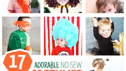17 DIY No Sew Costumes for Toddlers