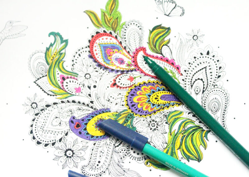 Coloring Book Pages Digital Download Colored Pencils Gel -   Adult  coloring book pages, Coloring pages, Coloring book pages