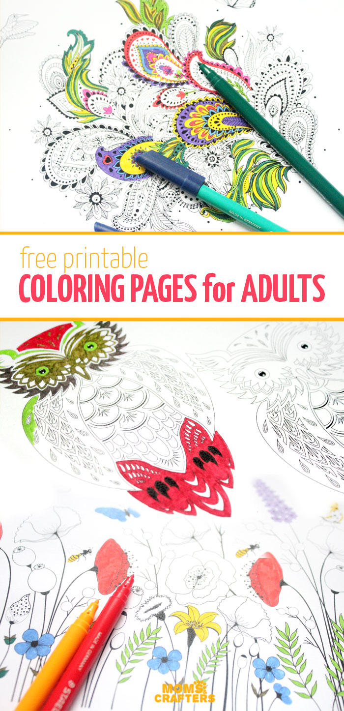 https://www.momsandcrafters.com/wp-content/uploads/2015/11/adult-coloring-pages-v.jpg