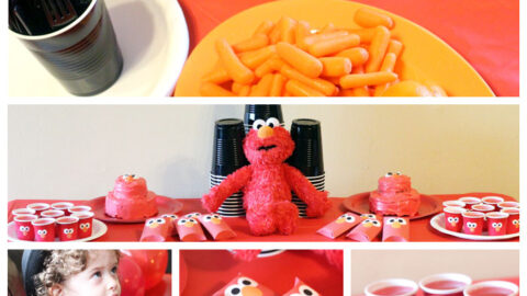 Elmo birthday party ideas on a budget