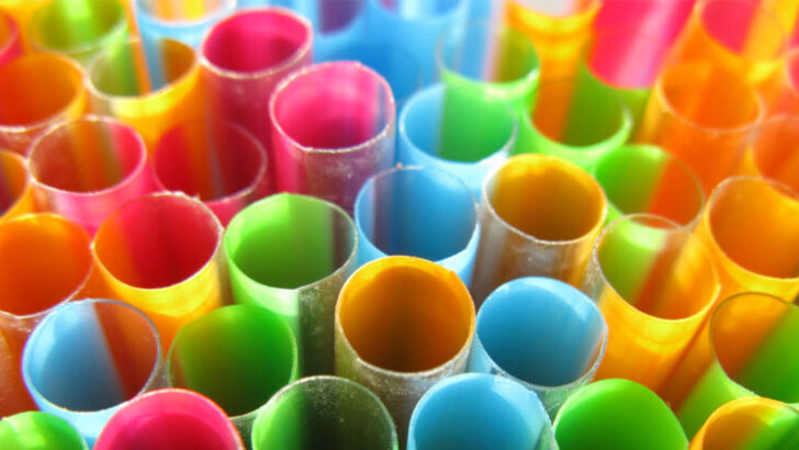 14 of the Best Drinking Straw Crafts