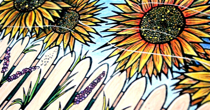 Download five free flower themed adult coloring pages for Spring! This sunflower themed complex coloring page for adults is fun for teens who like crafts and DIY too.