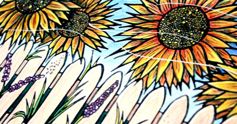 Free Flower Coloring Pages For Adults