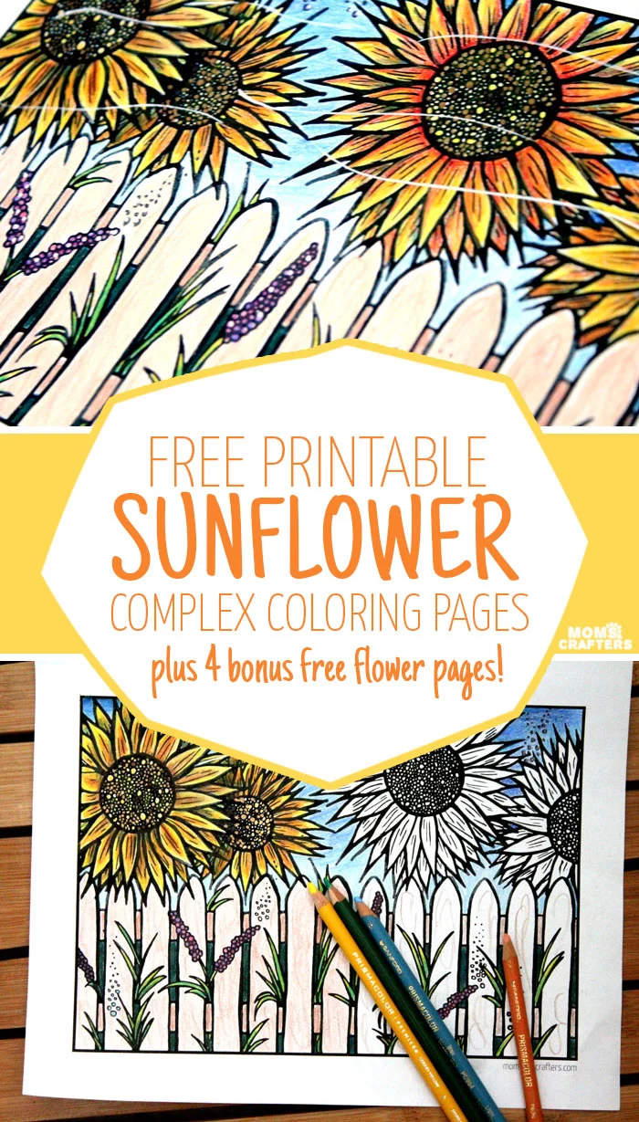 Download five free flower themed adult coloring pages for Spring! This sunflower themed complex coloring page for adults is fun for teens who like crafts and DIY too.