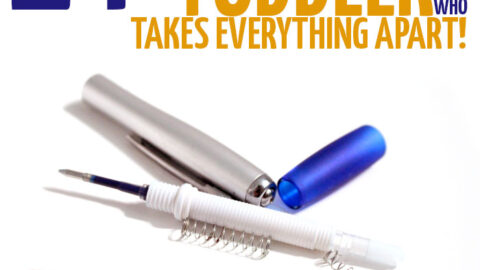 Activities for the toddler who takes everything apart
