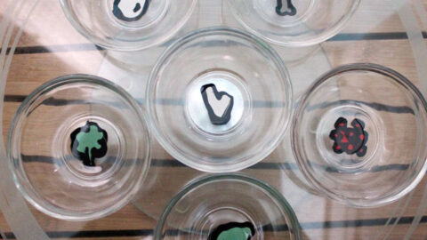 DIY Seder Plate