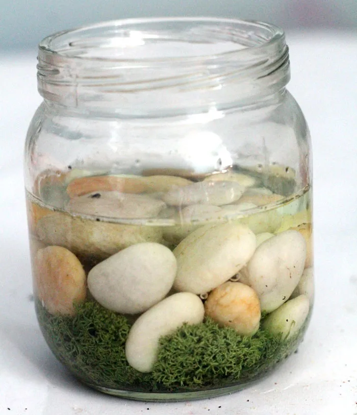 Have a favorite seashell? Make this beautiful beach-in-a-jar seashell keepsake craft to display! It's a great summer sea-inspired centerpiece, or just-for-fun idea for kids, adults, and teens!