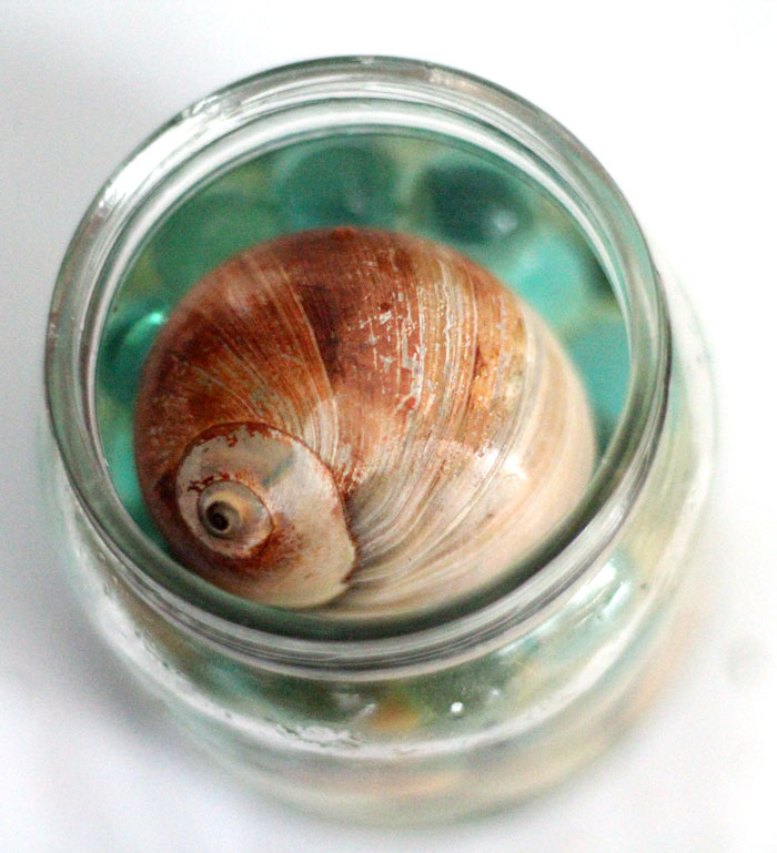 Have a favorite seashell? Make this beautiful beach-in-a-jar seashell keepsake craft to display! It's a great summer sea-inspired centerpiece, or just-for-fun idea for kids, adults, and teens!