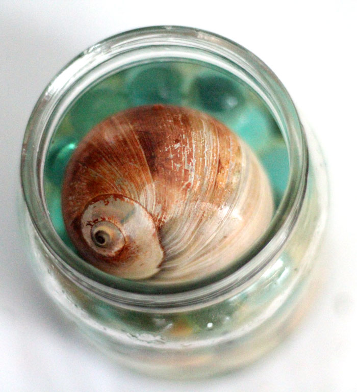 Have a favorite seashell? Make this beautiful beach-in-a-jar seashell keepsake craft to display! It's a great summer sea-inspired centerpiece, or just-for-fun idea for kids, adults, and teens!
