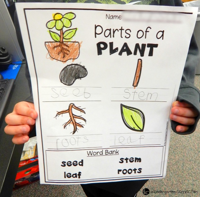 Gardening with kids can be fun... and challenging. This amazing resource includes crafts, activities, printables, and more for gardening with kids - a fun spring and summer activity for toddlers, preschoolers, and older.