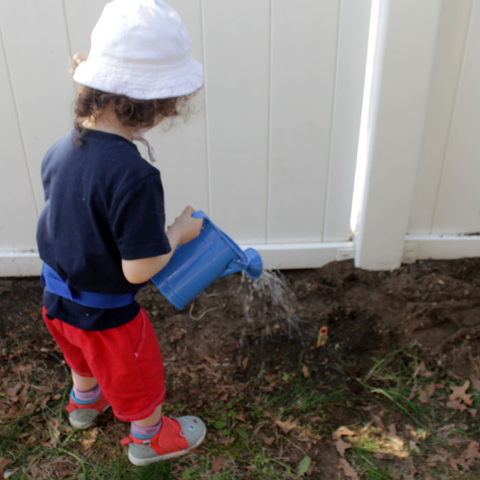 Plant a salad with your toddler - a fun outdoor gardening activity to get those little hands dirty! Plus, it encourages healthy eating, is educational, and is a perfect addition to your repertoire of toddler activities for the Spring or summer!