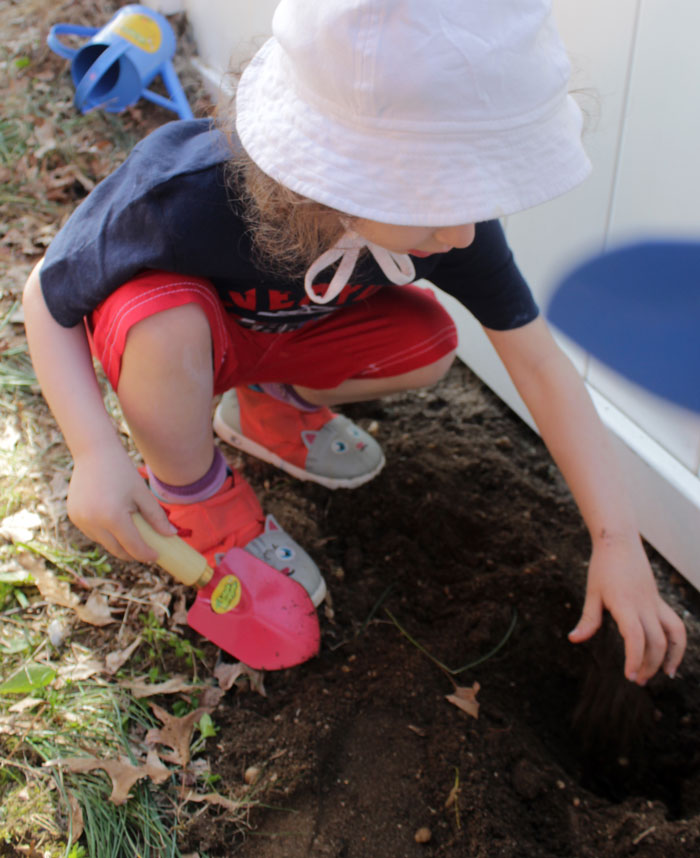 Plant a salad with your toddler - a fun outdoor gardening activity to get those little hands dirty! Plus, it encourages healthy eating, is educational, and is a perfect addition to your repertoire of toddler activities for the Spring or summer!