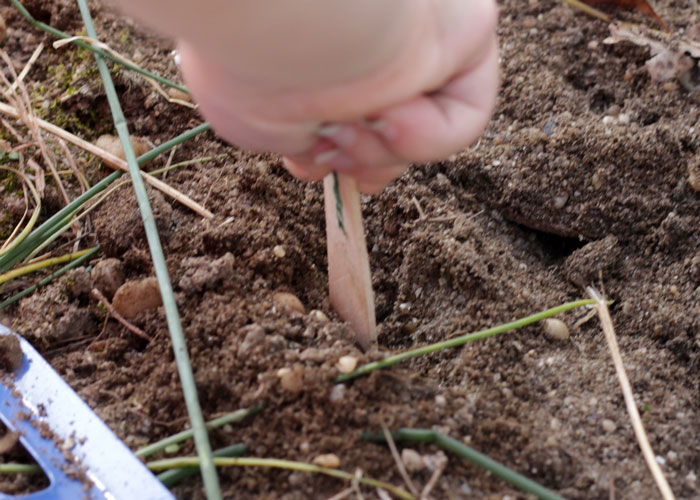 Plant a salad with your toddler - a fun outdoor gardening activity to get those little hands dirty! Plus, it encourages healthy eating, is educational, and is a perfect addition to your repertoire of toddler activities for the Spring or summer!